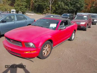 2006 Ford Mustang Standard with VIN 1ZVFT84N965166306, listed as a IAAI auction lot 40580690 with 113,233 mi miles and . Bid and sale history available at carsss.com. Image 2.