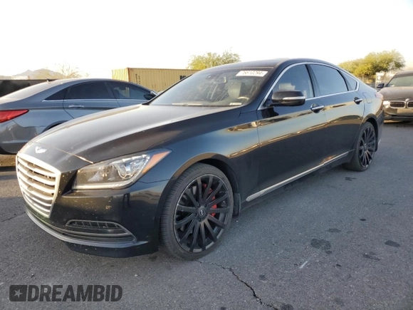 2016 Hyundai Genesis 3.8L with VIN KMHGN4JEXGU119013, listed as a Copart auction lot 76610294 with 171,819 mi miles and Clean Title. Bid and sale history available at carsss.com. Image 1.