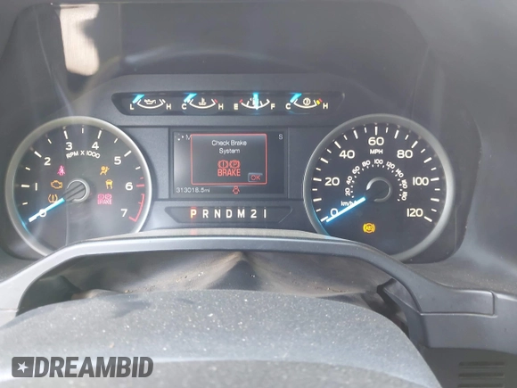 2015 Ford F-150 XLT with VIN 1FTEW1EP0FFA16253, listed as a IAAI auction lot 41852006 with 313,018 mi miles. Bid and sale history available at carsss.com. Image 7.