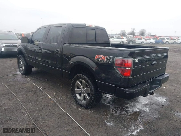 2013 Ford F-150 XL with VIN 1FTFW1EF2DFB26407, listed as a IAAI auction lot 41522160 with 204,920 mi miles. Bid and sale history available at carsss.com. Image 3.