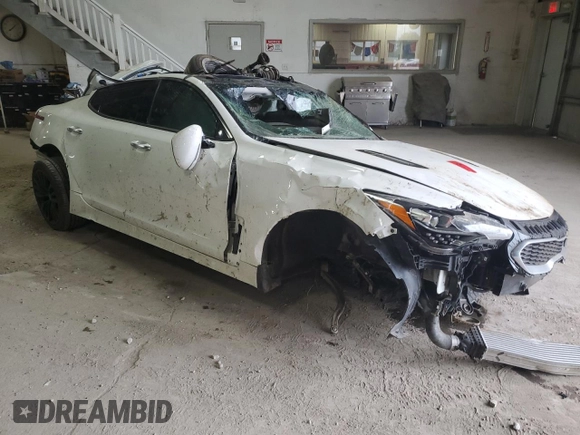 2019 Kia Stinger with VIN KNAE15LA7K6045924, listed as a Copart auction lot 64154474 with Not Provided miles and Non Repairable. Bid and sale history available at DreamBid. Image 4.