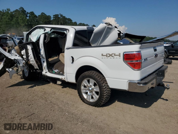2011 Ford F-150 XL with VIN 1FTFW1EF3BFD30274, listed as a Copart auction lot 58980725 with Not provided miles and Salvage title. Bid and sale history available at DreamBid. Image 2.