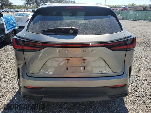 2022 Lexus NX with VIN 2T2ADCAZ9NC001311, listed as a Copart auction lot 45224765 with 28,419 mi miles and Salvage Title. Bid and sale history available at carsss.com. Image 6.