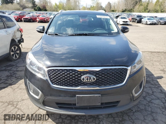 2016 Kia Sorento LX with VIN 5XYPGDA50GG137259, listed as a Copart auction lot 51826815 with Not Provided miles and Clean Title. Bid and sale history available at DreamBid. Image 5.