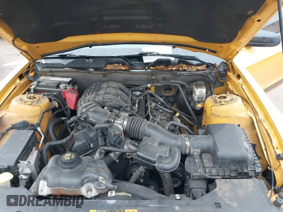 2011 Ford Mustang V6 with VIN 1ZVBP8AM5B5154811, listed as a IAAI auction lot 42161082 with 203,984 mi miles and . Bid and sale history available at carsss.com. Image 10.