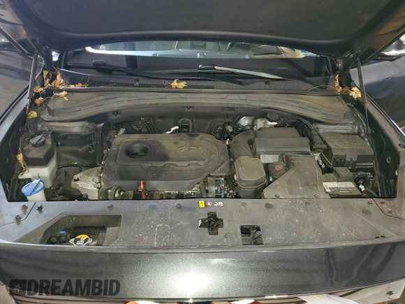 2020 Hyundai Santa Fe Limited with VIN 5NMS5CAD3LH216345, listed as a Copart auction lot 45531945 with 87,097 mi miles and Salvage Title. Bid and sale history available at carsss.com. Image 13.