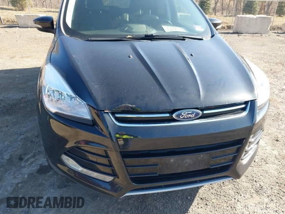 2013 Ford Escape SEL with VIN 1FMCU9HX5DUC58726, listed as a IAAI auction lot 41766493 with 219,093 mi miles. Bid and sale history available at carsss.com. Image 6.