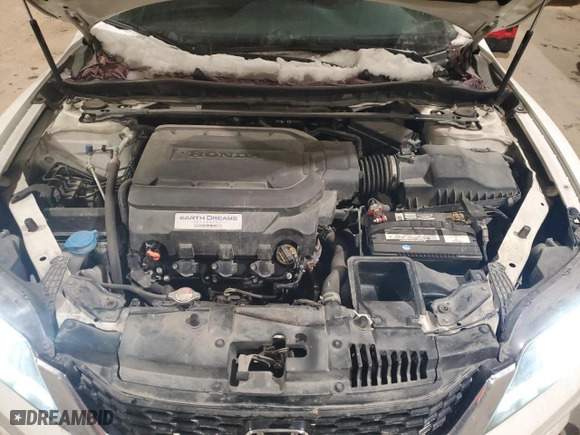 2014 Honda Accord Coupe EX-L with VIN 1HGCT2B85EA800394, listed as a Copart auction lot 82469514 with 202,399 mi miles and Clean Title. Bid and sale history available at carsss.com. Image 11.