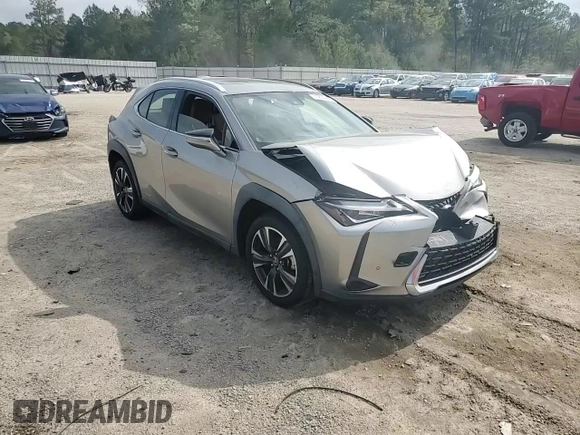 2019 Lexus UX 250h with VIN JTHU9JBHXK2011576, listed as a Copart auction lot 51209865 with Not provided miles and Clean title. Bid and sale history available at DreamBid. Image 11.