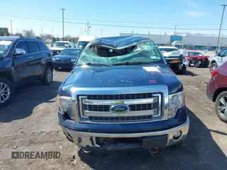 2013 Ford F-150 XL with VIN 1FTFX1EFXDKG21202, listed as a IAAI auction lot 41833771 with 142,152 mi miles. Bid and sale history available at carsss.com. Image 12.