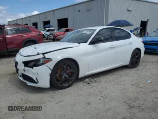 2019 Alfa Romeo Giulia z VIN ZARFAMANXK7600999, wystawiony jako Copart lot #55025785 z przebiegiem 102 625 mil mil oraz Tytuł czysty. Historia ofert i sprzedaży dostępna na DreamBid. Obrazek 1.