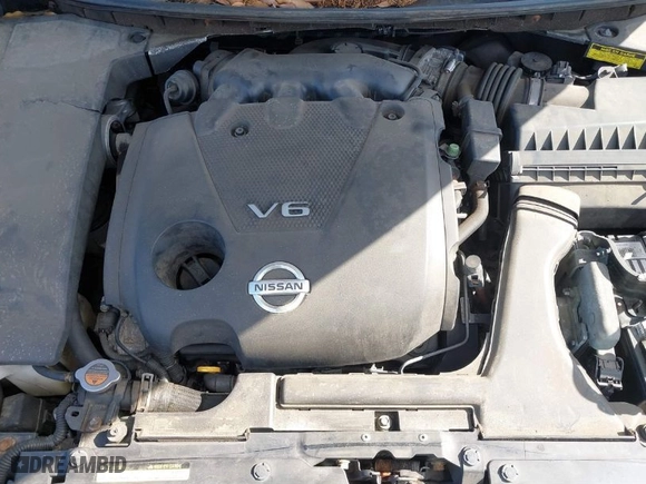 2009 Nissan Maxima 3.5 SV w/Sport Pkg with VIN 1N4AA51E59C815482, listed as a IAAI auction lot 41683955 with 241,017 mi miles. Bid and sale history available at carsss.com. Image 10.