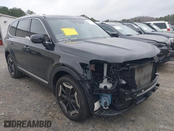 2024 Kia Telluride EX with VIN 5XYP34GC6RG445587, listed as a IAAI auction lot 41478254 with 21,299 mi miles and . Bid and sale history available at DreamBid. Image 13.