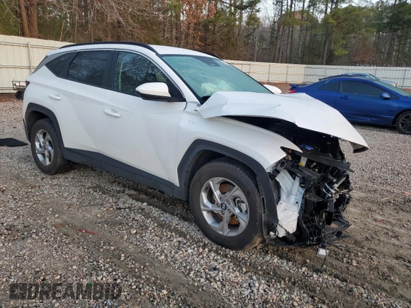 2024 Hyundai Tucson SEL with VIN 5NMJB3DE0RH366009, listed as a Copart auction lot 48182905 with 18,566 mi miles and Salvage Title. Bid and sale history available at carsss.com. Image 4.