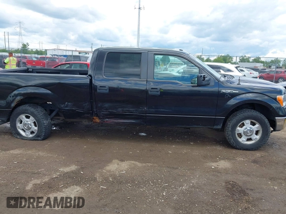 2013 Ford F-150 XL с VIN 1FTFW1EF3DFC14916, выставлен на аукционе IAAI как лот 42343813 с пробегом 217 069 миль миль и . История ставок и продаж доступна на DreamBid. Изображение 13.