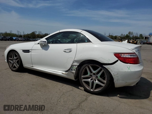 2014 Mercedes-Benz SLK 250 with VIN WDDPK4HA1EF081565, listed as a Copart auction lot 54008025 with 87,808 mi miles and Salvage title. Bid and sale history available at DreamBid. Image 2.