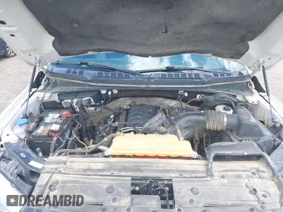 2018 Ford F-150 XL with VIN 1FTEW1E50JKC91068, listed as a IAAI auction lot 42221345 with 135,095 mi miles and . Bid and sale history available at DreamBid. Image 10.