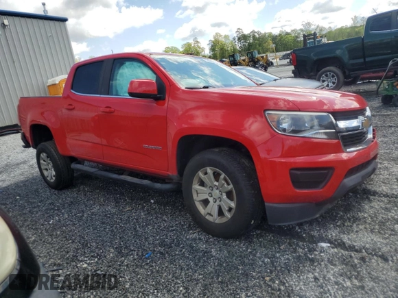 2019 Chevrolet Colorado 2WD LT with VIN 1GCGSCEN6K1119571, listed as a Copart auction lot 52625105 with 51,562 mi miles and Salvage title. Bid and sale history available at DreamBid. Image 4.