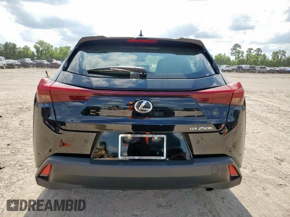 2024 Lexus UX 250h with VIN JTHX6JBH8R2172668, listed as a Copart auction lot 58179335 with 12,581 mi miles and Salvage title. Bid and sale history available at DreamBid. Image 6.