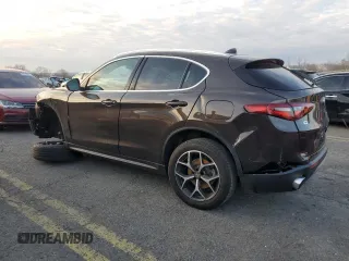 2019 Alfa Romeo Stelvio Ti with VIN ZASPAKBN8K7C45713, listed as a Copart auction lot 81956594 with Not provided miles and Salvage title. Bid and sale history available at DreamBid. Image 2.
