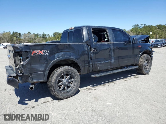 2013 Ford F-150 XL with VIN 1FTFW1ETXDFC09265, listed as a Copart auction lot 48344915 with 163,261 mi miles and Salvage Title. Bid and sale history available at DreamBid. Image 3.