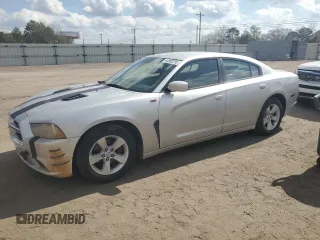 2012 Dodge Charger SE with VIN 2C3CDXBG9CH137835, listed as a Copart auction lot 44982235 with 157,214 mi miles and Salvage Title. Bid and sale history available at carsss.com. Image 1.