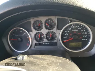 2004 Ford F-150 XLT with VIN 1FTPX14544NB03212, listed as a Copart auction lot 60994015 with 4,223,070 mi miles and Salvage title. Bid and sale history available at DreamBid. Image 9.