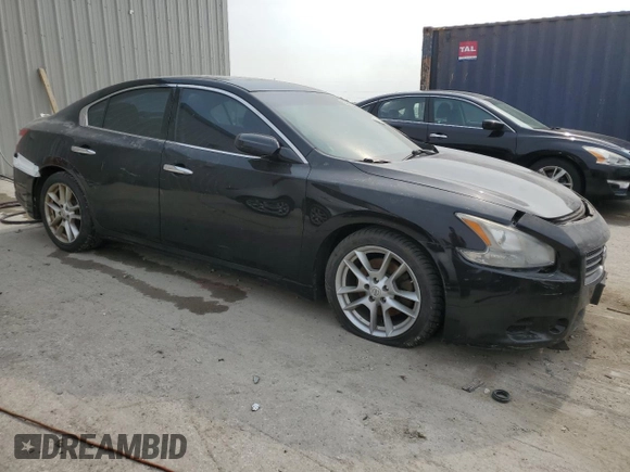 2010 Nissan Maxima SV with VIN 1N4AA5AP3AC818127, listed as a Copart auction lot 58318415 with Not provided miles and Clean title. Bid and sale history available at DreamBid. Image 4.