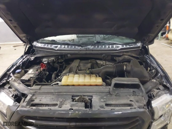 2017 Ford F-150 XL with VIN 1FTEW1EPXHFB64073, listed as a IAAI auction lot 41325557 with 93,317 mi miles. Bid and sale history available at carsss.com. Image 10.
