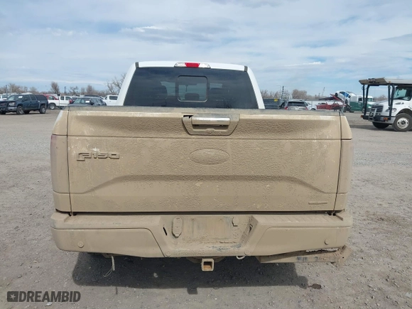 2015 Ford F-150 XLT w/HD Payload Pkg with VIN 1FTFW1EF3FFB70225, listed as a IAAI auction lot 41890185 with 169,564 mi miles. Bid and sale history available at carsss.com. Image 16.