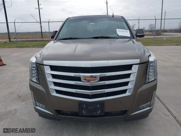 2015 Cadillac Escalade Luxury with VIN 1GYS3MKJ9FR725818, listed as a IAAI auction lot 41596731 with 224,246 mi miles. Bid and sale history available at carsss.com. Image 12.