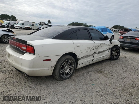 2013 Dodge Charger Police z VIN 2C3CDXAG3DH675367, wystawiony jako Copart lot #87424674 z przebiegiem 138 307 mil mil oraz Szkoda całkowita • Salvage title. Historia ofert i sprzedaży dostępna na DreamBid. Obrazek 3.