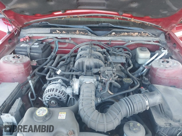 2008 Ford Mustang Deluxe with VIN 1ZVHT80N185124424, listed as a IAAI auction lot 42216870 with 45,660 mi miles and . Bid and sale history available at DreamBid. Image 10.