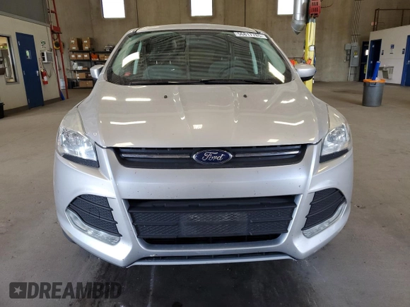 2013 Ford Escape SE with VIN 1FMCU0GXXDUB10035, listed as a Copart auction lot 56817785 with 130,497 mi miles and Salvage title. Bid and sale history available at DreamBid. Image 5.