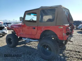 1995 Jeep Wrangler S with VIN 1J4FY19P3SP287072, listed as a Copart auction lot 79582064 with 0 mi miles and Salvage Title. Bid and sale history available at carsss.com. Image 2.
