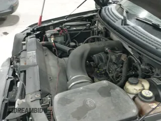 2008 Ford F-150 XLT with VIN 1FTPX145X8FA70393, listed as a IAAI auction lot 41496916 with 149,798 mi miles and . Bid and sale history available at DreamBid. Image 17.