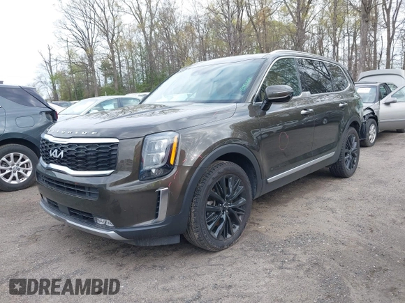 2022 Kia Telluride SX with VIN 5XYP54HC4NG271392, listed as a IAAI auction lot 42019407 with 50,971 mi miles and . Bid and sale history available at DreamBid. Image 17.