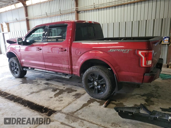 2016 Ford F-150 XLT with VIN 1FTEW1EF0GFA94752, listed as a Copart auction lot 49708005 with Not Provided miles and Salvage Title. Bid and sale history available at carsss.com. Image 2.
