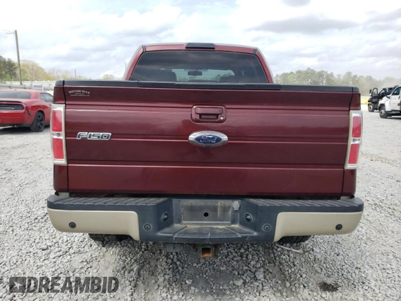 2009 Ford F-150 XL with VIN 1FTPW14V69FA81573, listed as a Copart auction lot 49098534 with 237,463 mi miles and Salvage title. Bid and sale history available at DreamBid. Image 6.