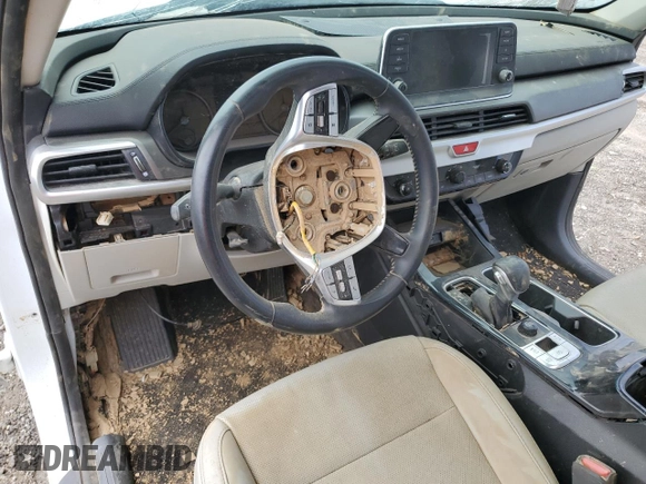 2020 Kia Telluride S with VIN 5XYP64HC1LG009842, listed as a Copart auction lot 48749955 with Not Provided miles and Salvage Title. Bid and sale history available at DreamBid. Image 8.