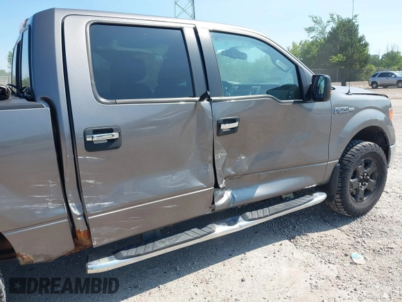 2010 Ford F-150 XL with VIN 1FTEW1E83AFD18282, listed as a IAAI auction lot 42653428 with 207,118 mi miles and . Bid and sale history available at DreamBid. Image 6.