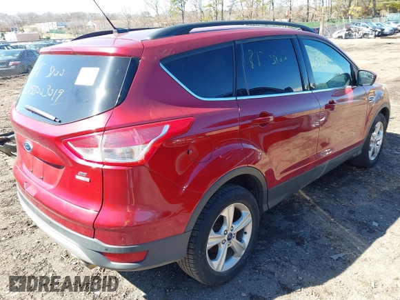 2014 Ford Escape SE with VIN 1FMCU9GX5EUE19501, listed as a IAAI auction lot 41862559 with Not Provided miles and . Bid and sale history available at carsss.com. Image 4.