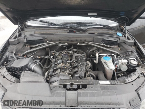 2012 Audi Q5 Premium Plus with VIN WA1LFAFP3CA134208, listed as a Copart auction lot 51990225 with 127,824 mi miles and Non repairable. Bid and sale history available at DreamBid. Image 12.
