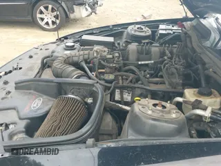 2008 Ford Mustang Deluxe with VIN 1ZVHT80N385120195, listed as a IAAI auction lot 43299532 with 158,044 mi miles and . Bid and sale history available at DreamBid. Image 20.