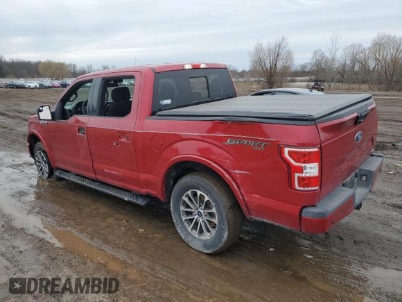 2020 Ford F-150 XL with VIN 1FTEW1EP4LKF53209, listed as a Copart auction lot 47538845 with 50,041 mi miles and Salvage Title. Bid and sale history available at DreamBid. Image 2.