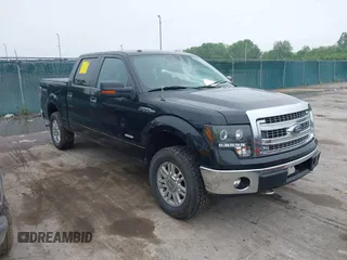 2014 Ford F-150 XL with VIN 1FTFW1ET9EFB75417, listed as a IAAI auction lot 42449180 with 219,028 mi miles and . Bid and sale history available at DreamBid. Image 1.