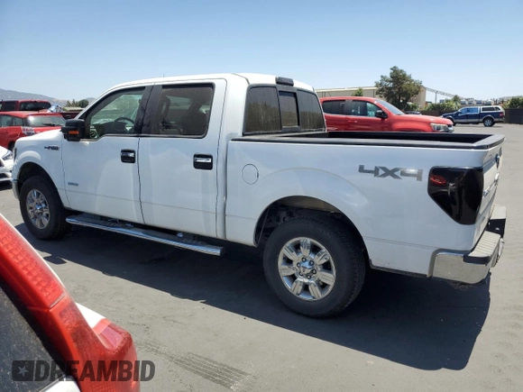 2011 Ford F-150 XLT with VIN 1FTFW1ET6BKD86481, listed as a Copart auction lot 60336875 with 84,648 mi miles and Salvage title. Bid and sale history available at DreamBid. Image 2.