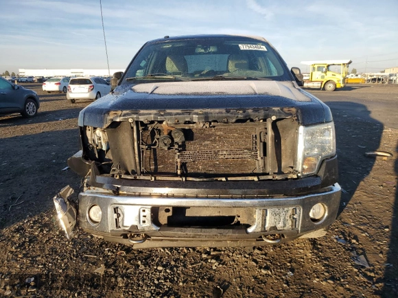2010 Ford F-150 XL with VIN 1FTFW1EV9AFD21293, listed as a Copart auction lot 77943404 with 123,165 mi miles and Salvage title. Bid and sale history available at DreamBid. Image 5.