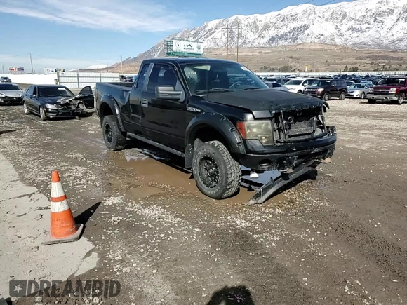 2009 Ford F-150 STX with VIN 1FTRX14W09FA24655, listed as a Copart auction lot 46085665 with Not Provided miles and Salvage Title. Bid and sale history available at DreamBid. Image 10.
