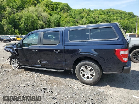 2023 Ford F-150 with VIN 1FTFW1P83PKE89261, listed as a Copart auction lot 56625325 with 9,079 mi miles and Salvage title. Bid and sale history available at DreamBid. Image 2.